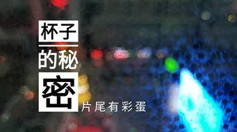 潍坊饭店爆料视频最新,揭秘背后惊人真相